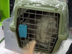 -唐小姐の猫狗洗护·购宠旗舰店(周浦万达店)