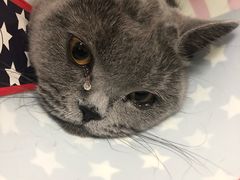 -瑞派天宁宠物医院·猫科·异宠中心