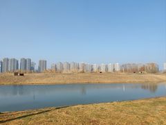 -洋湖国家湿地公园