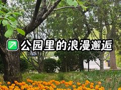 -迎泽公园