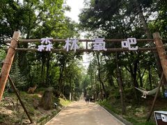 -洛阳白云山景区