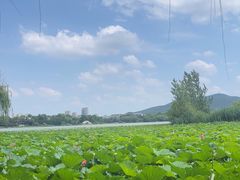 -云龙湖旅游景区