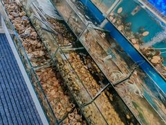 -仙螺岛海鲜自助餐厅(总店)