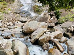 -海南热带雨林国家公园吊罗山景区