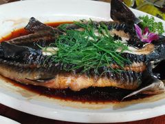 清蒸中华鲟-台北A+A七喜饭店(德增街店)