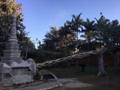 -瑞丽独树成林风景区