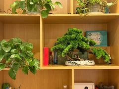 -蓉城阳光推拿馆(总店)