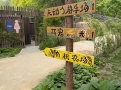 -圣露庄园·露营·烤肉·亲子
