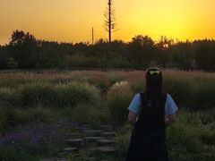 -汉长安城未央宫国家考古遗址公园