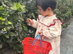 -长洲岛