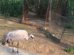 -祥源·阜阳生态乐园