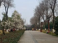 -眉山湿地公园(东坡区)