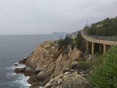 -广东惠东海龟国家级自然保护区