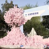和春天来了一场甜蜜的约会…