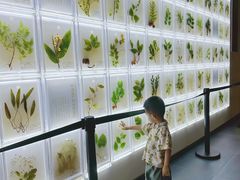 -广东中医药博物馆