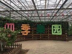 -上海都市菜园