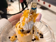 铁板炒冰激凌-帝企鹅自助餐厅•儿童岛•真企鹅(长隆企鹅酒店)