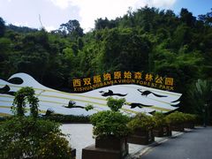 -西双版纳原始森林公园