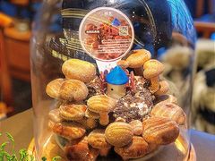 活体松香菇-捞王锅物料理(上海世茂广场店)