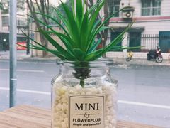 -Seeking Coffee咖啡(新竹路店)