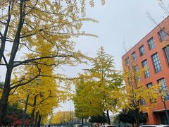 -西南民族大学南区(双流校区)