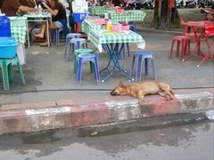 -宁曼路