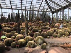 -南通洲际绿博园