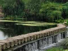 -贵阳市花溪国家城市湿地公园