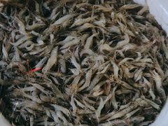 -王婆炒鱼(总店)