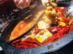-销魂美蛙鱼头火锅(上海首店)