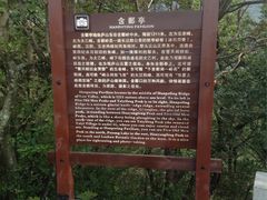 -含鄱口