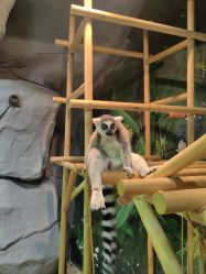 -Zoolung Zoolung动物主题公园(海信广场店)