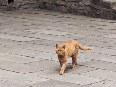 -晋祠博物馆