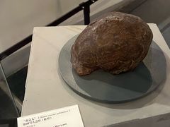 -北京周口店北京人遗址博物馆