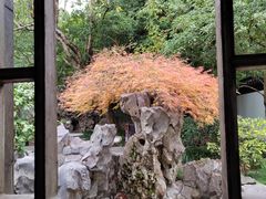 -秋霞圃