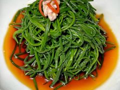 -蒙料·手把肉(望京店)