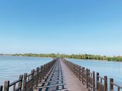 -上海长兴岛郊野公园