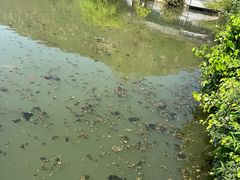 -黑龙潭公园