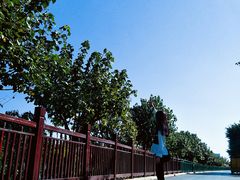 -厦门方特梦幻王国