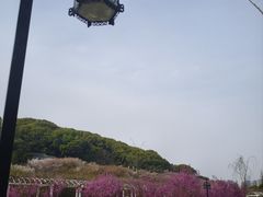 -苏州上方山国家森林公园