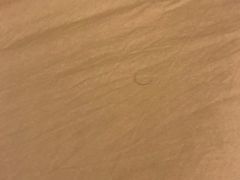 -金汤湾海水温泉度假酒店