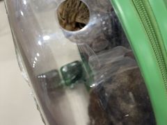 -芭比堂动物医院(广州爱宠下渡路分院)