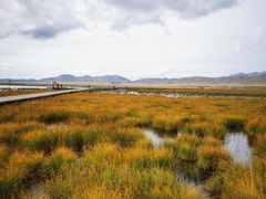 -花湖生态旅游区