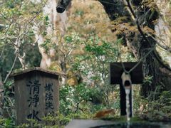 -三千院