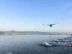 -海埂大坝
