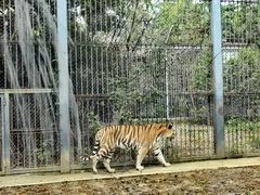 -上方山森林动物世界