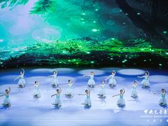 -中央芭蕾舞团·中芭艺蕾(酒仙桥明星校区)