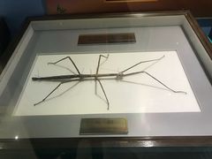 -上海昆虫博物馆