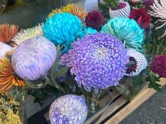 -循礼门鲜花花市(武汉循礼门店)