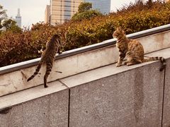 -UNI UNI(环亚凯瑟琳店)